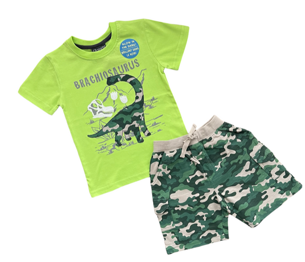 Boys Dinosaur Glow in the Dark Short Set Sizes 2T-7