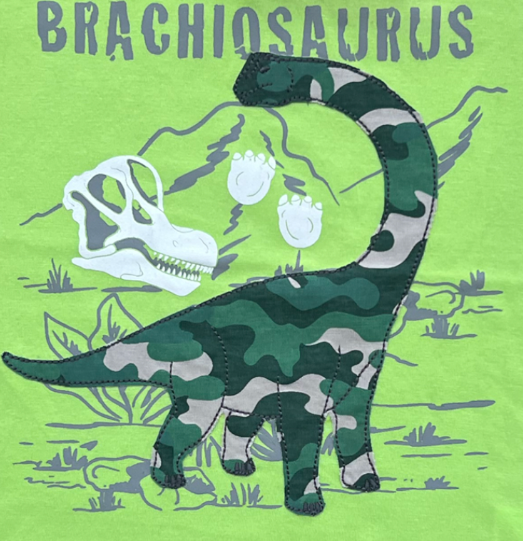 Boys Dinosaur Glow in the Dark Short Set Sizes 2T-7